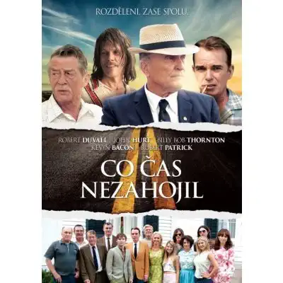 Co čas nezahojil - DVD plast 