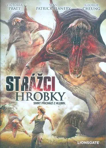 Strážci hrobky - DVD slim