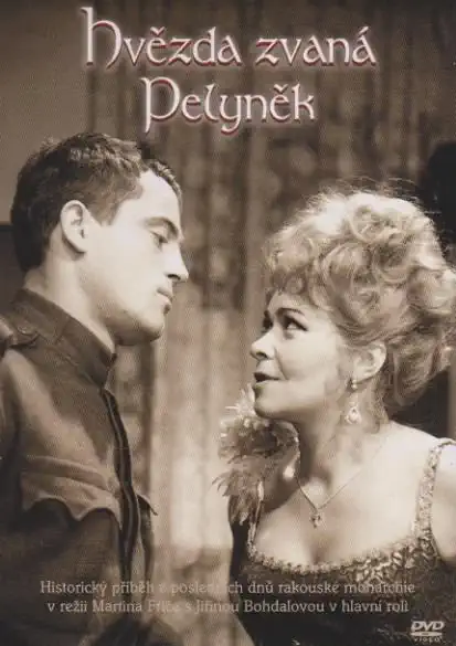 Hvězda zvaná Pelyněk ( pošetka ) DVD