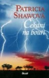 Čekání na bouři - Patricia Shawová /bazarové zboží/