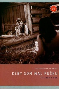 Keby som mal pušku - DVD slim