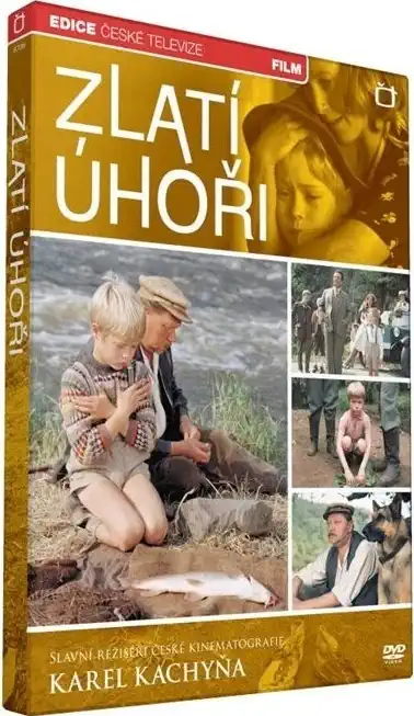 Zlatí úhoři - DVD