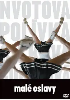 Malé oslavy - DVD
