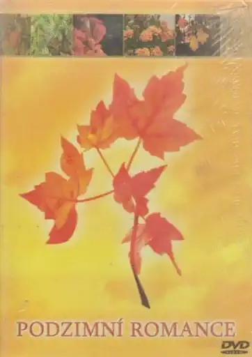 Podzimní romance - DVD