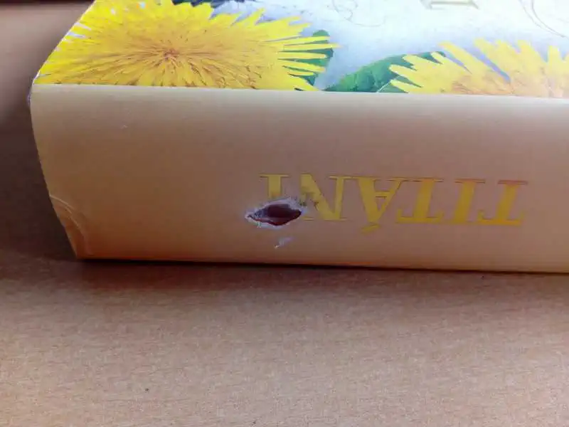 Titáni - Leila Meachamová (bazarové zboží)