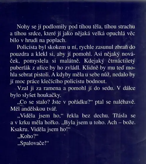 Popel popelu - Tami Hoag ( bazarové zboží )