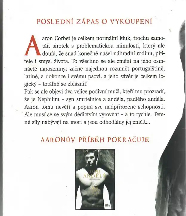Padlí andělé 1 - Padlí andělé a leviatan - Thomas E. Sniegoski ( bazarové zboží )