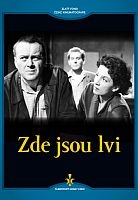 Zde jsou lvi - digipack DVD