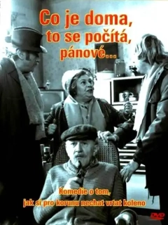 Co je doma, to se počítá, pánové... - DVD /bazarové zboží/