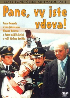 Pane, vy jste vdova! (pošetka) - DVD