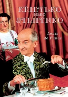 Křidýlko nebo stehýnko - DVD pošetka