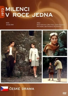 Milenci v roce jedna - DVD